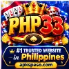 php33